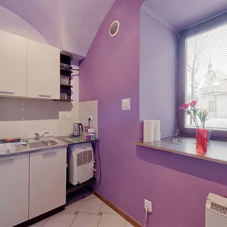 Apartment Princess Krakow